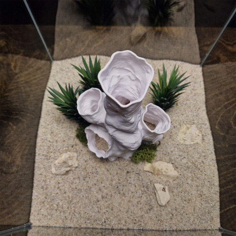 Planted Aquarium For Betta - Gorąca Wyprzedaż Drukowany w 3D Koralowy