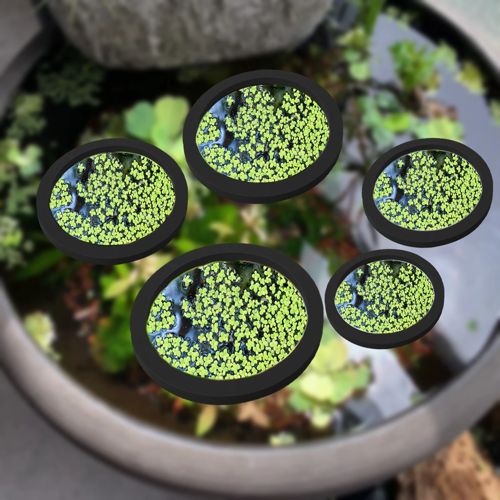 Planted Aquarium Parameters - 5Pcs EVA Pierścień do karmienia ryb