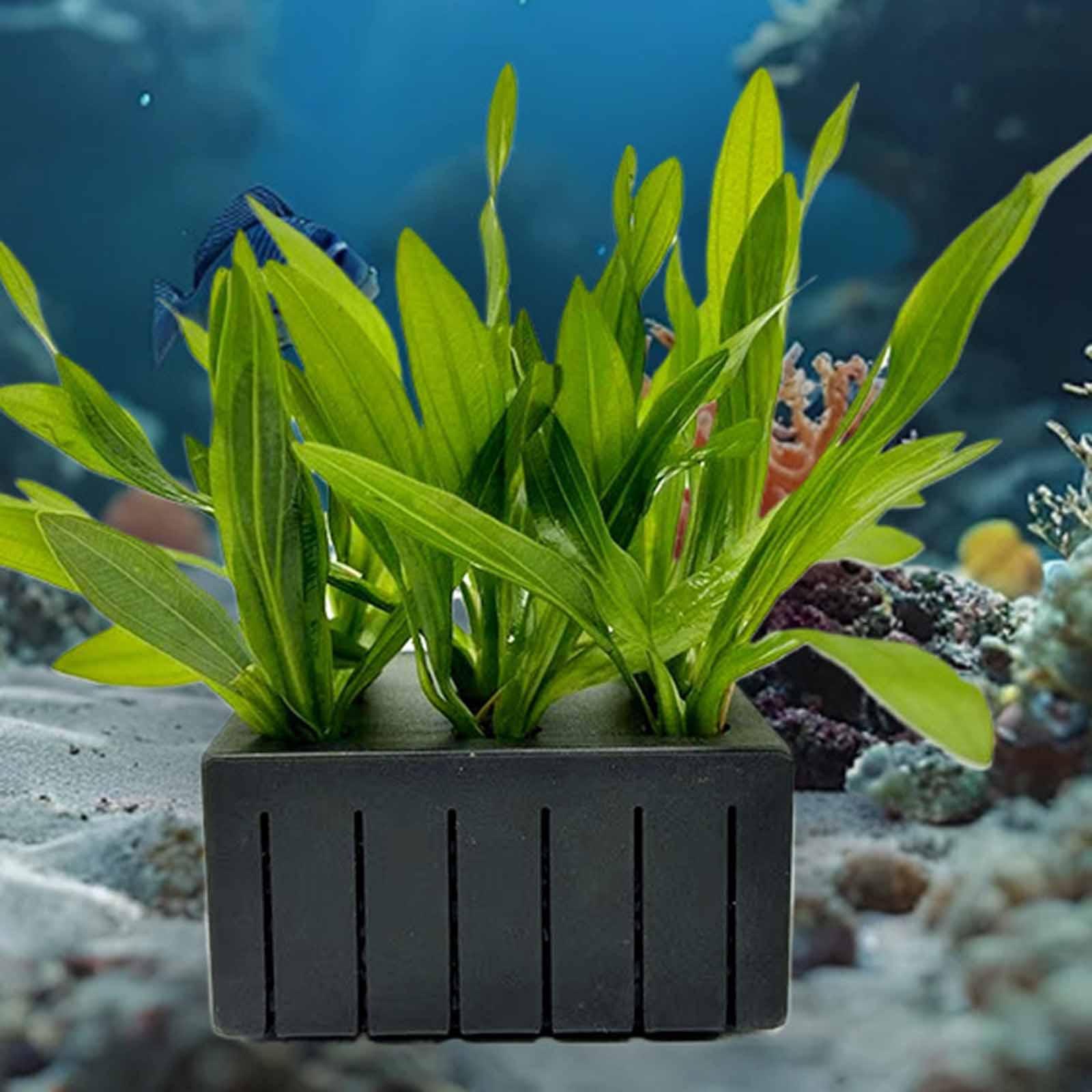 Planted Aquarium Mini - Kosz na rośliny akwariowe z tworzywa