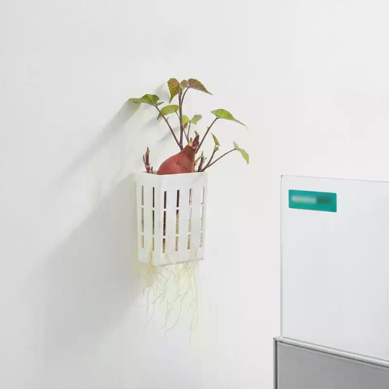 1 szt. Koszyk wspierający do h – Planted Aquarium Accessories recenzja i cena