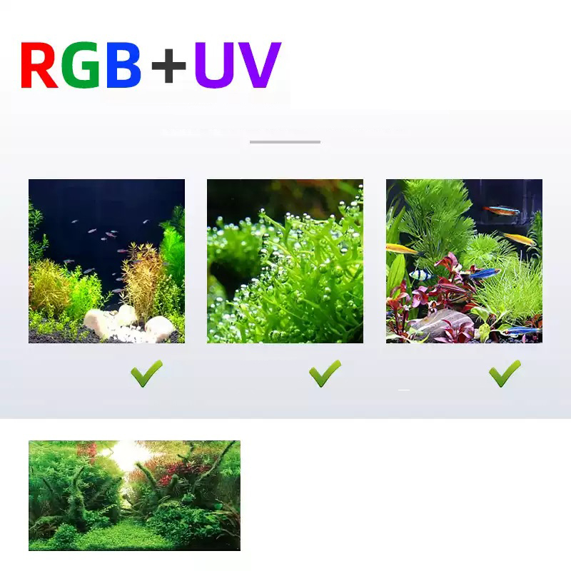 Week Aqua L Series WRGB UV Ful – Planted Aquarium Accessories recenzja i cena