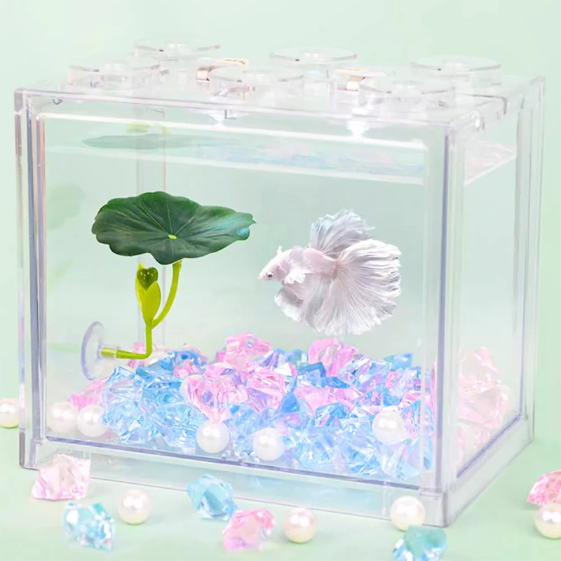 Hamac z zielonych liści dla ry – Planted Aquarium For Betta recenzja i cena