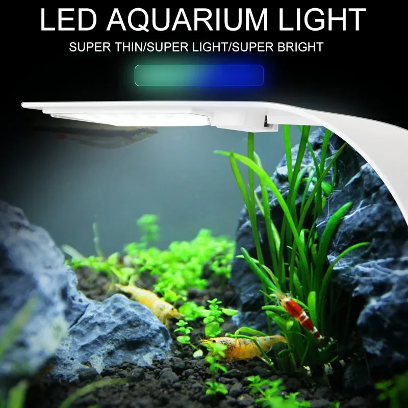 Super cienki oświetlenie LED d – Planted Aquarium Pictures recenzja i cena