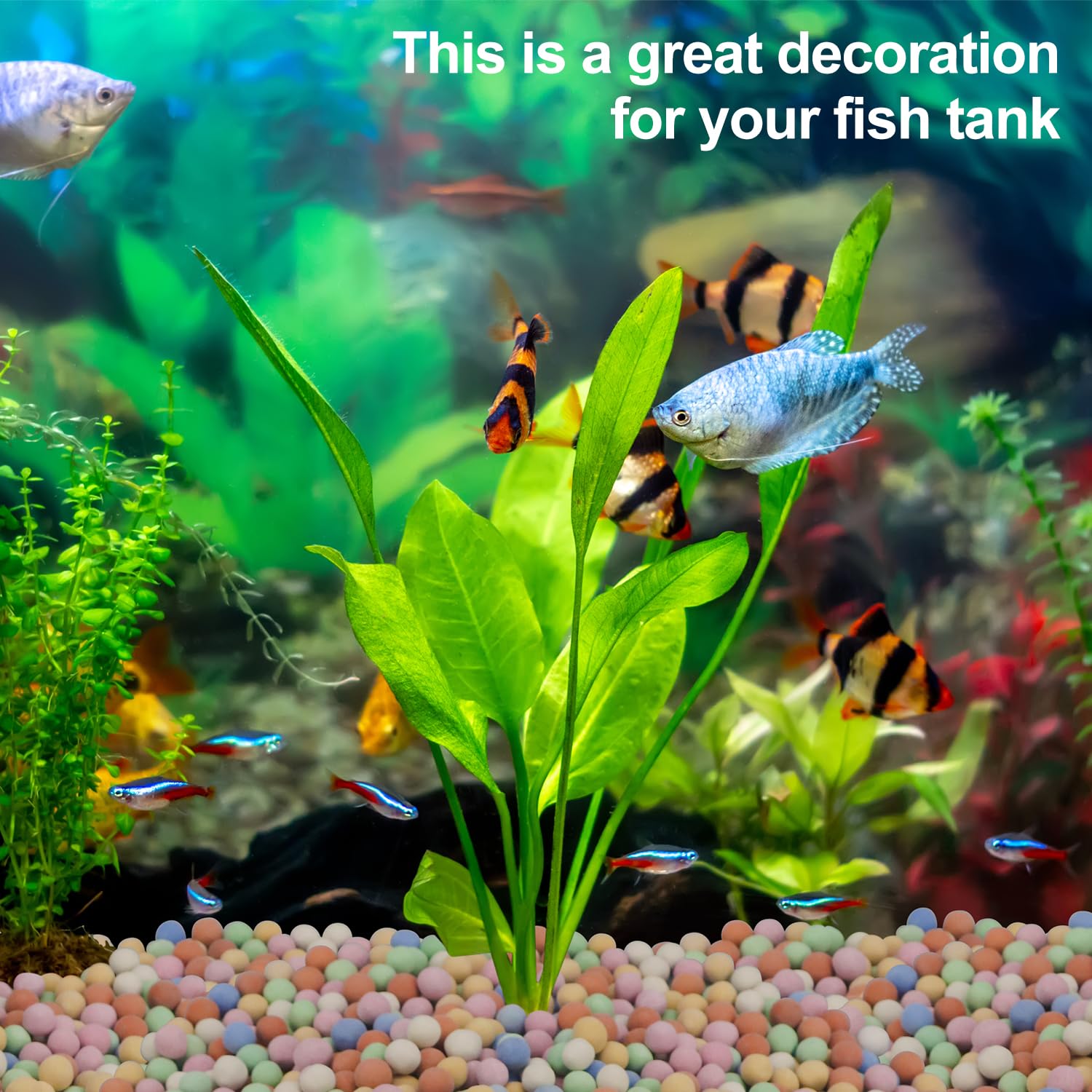 Roślina hydroponiczna Dekoracy – Aquarium Plant Vitamins recenzja i cena