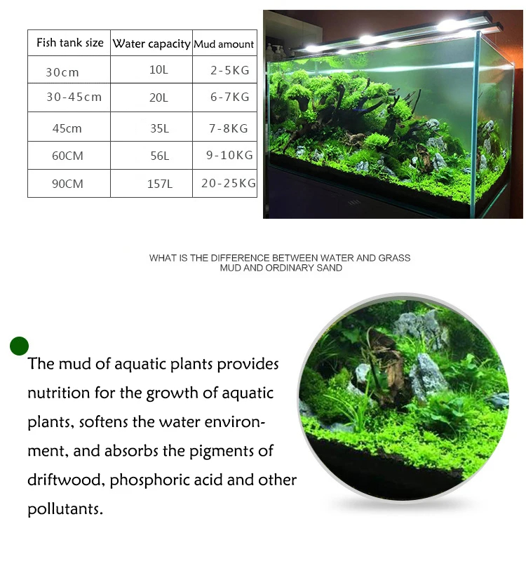 Błoto z trawy zbiornik wody ry – Planted Aquarium With Sand recenzja i cena