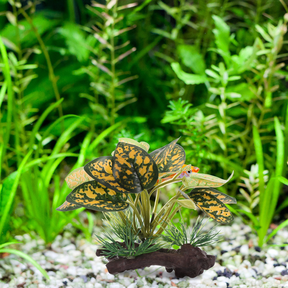 2 sztuki realistycznych sztucz – Planted Aquarium For Betta recenzja i cena