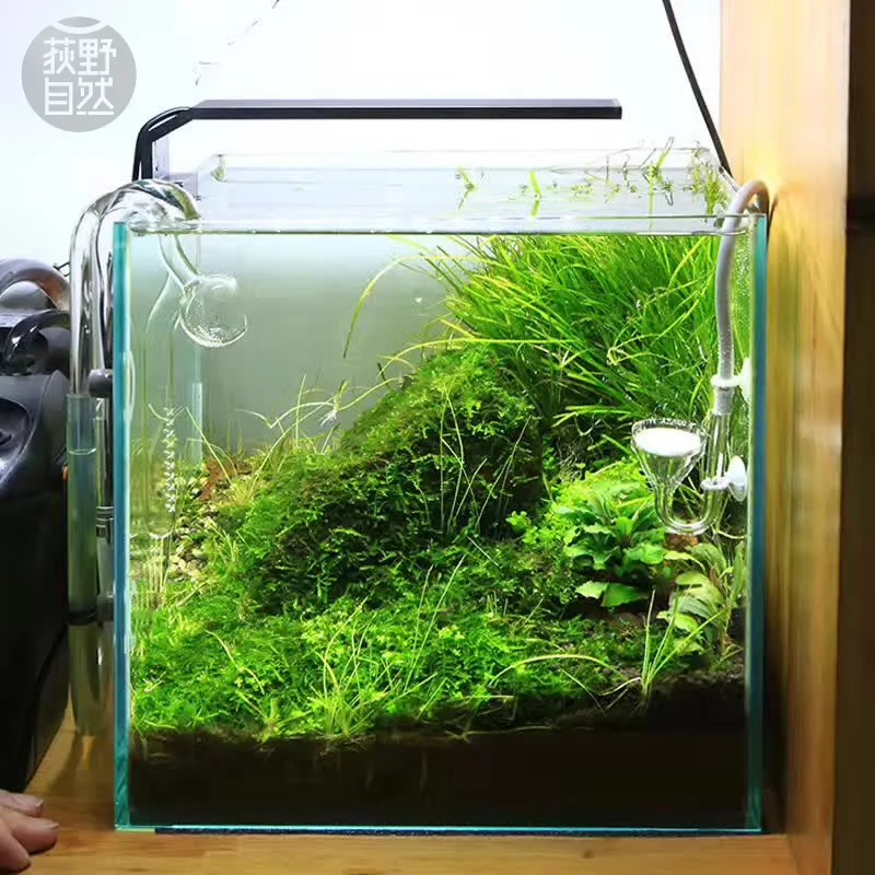Chihiros C Series ADA Style Pl – Planted Aquarium Mini recenzja i cena