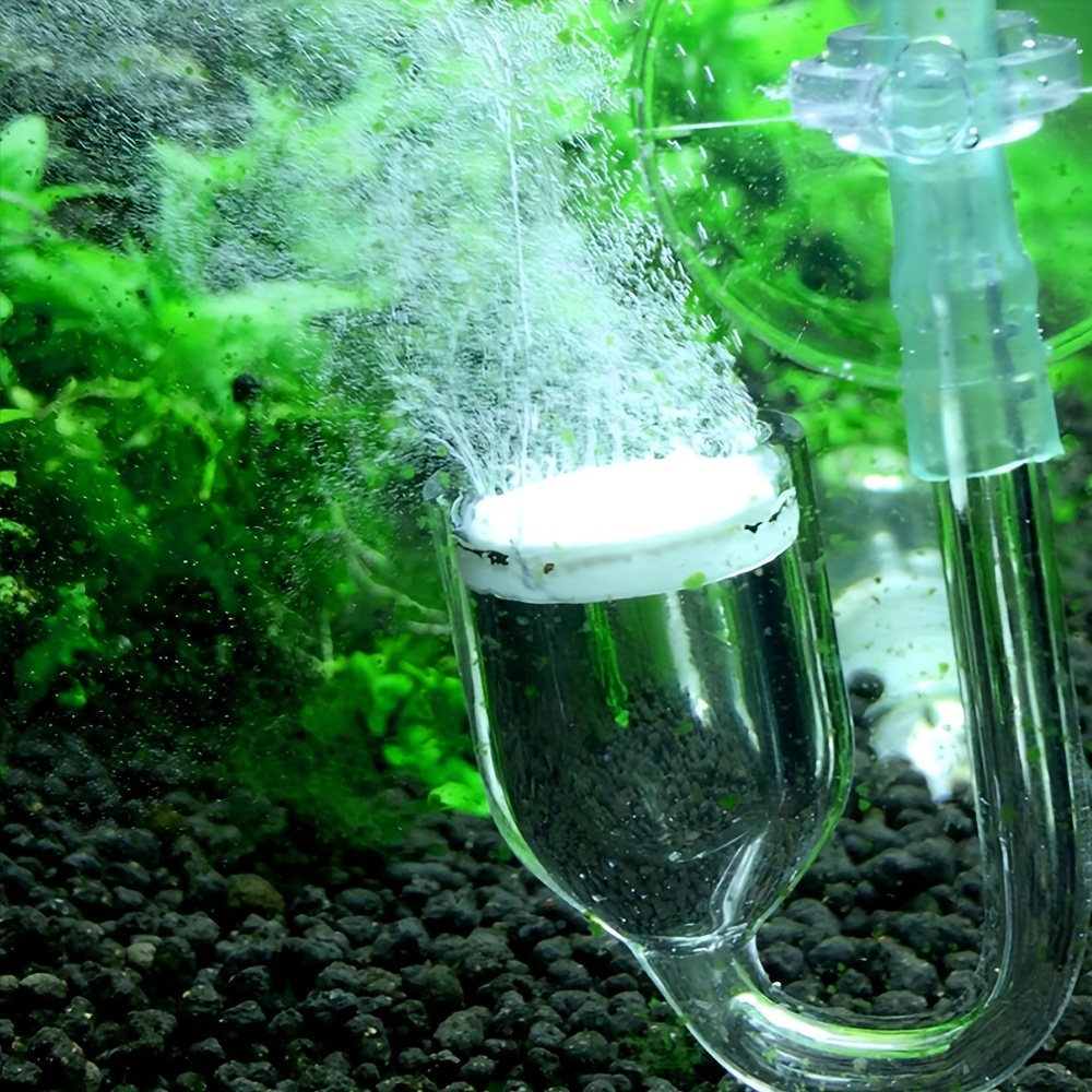 Szklany atomizer CO2 do akwari – Planted Aquarium Accessories recenzja i cena