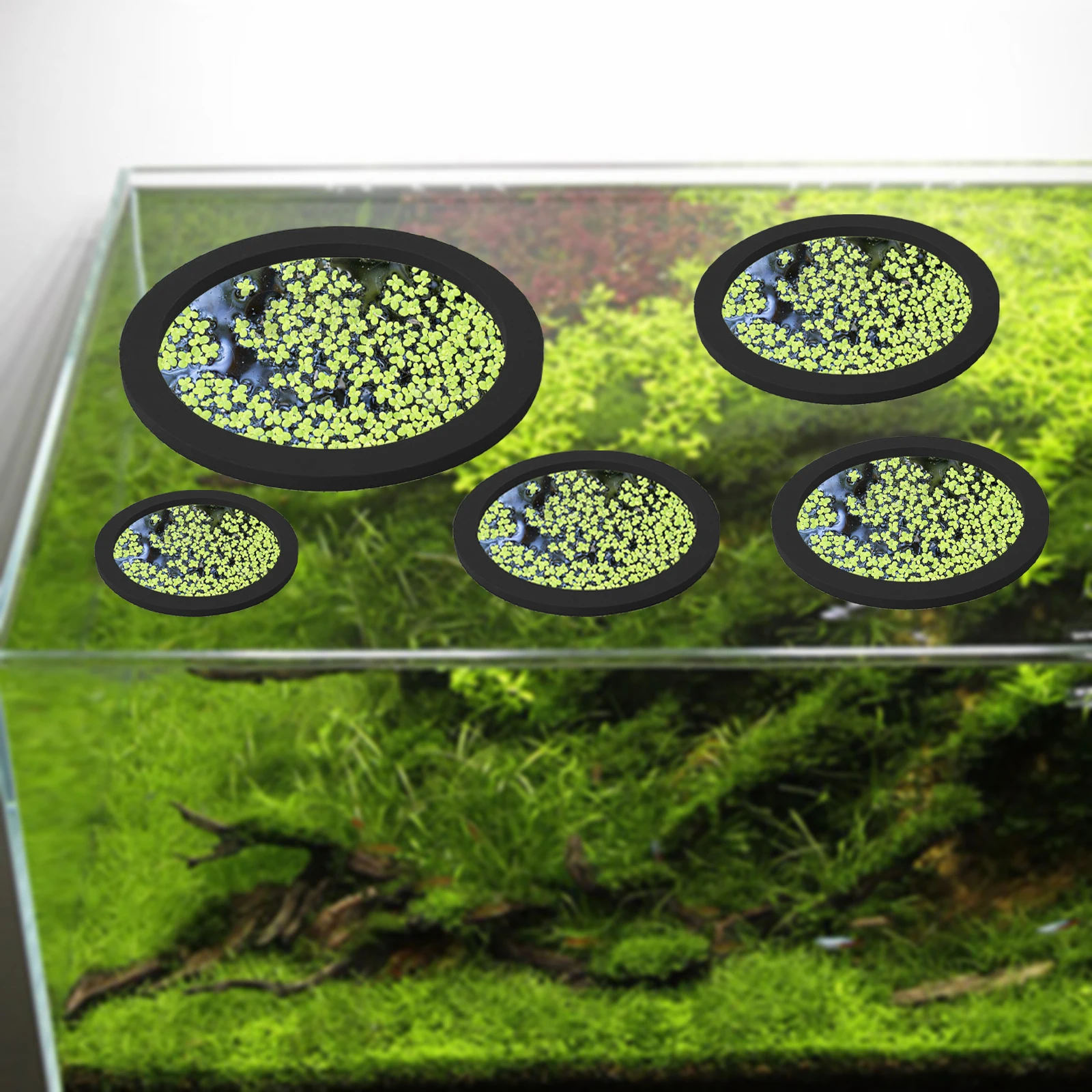 5Pcs EVA Pierścień do karmieni – Planted Aquarium Parameters recenzja i cena