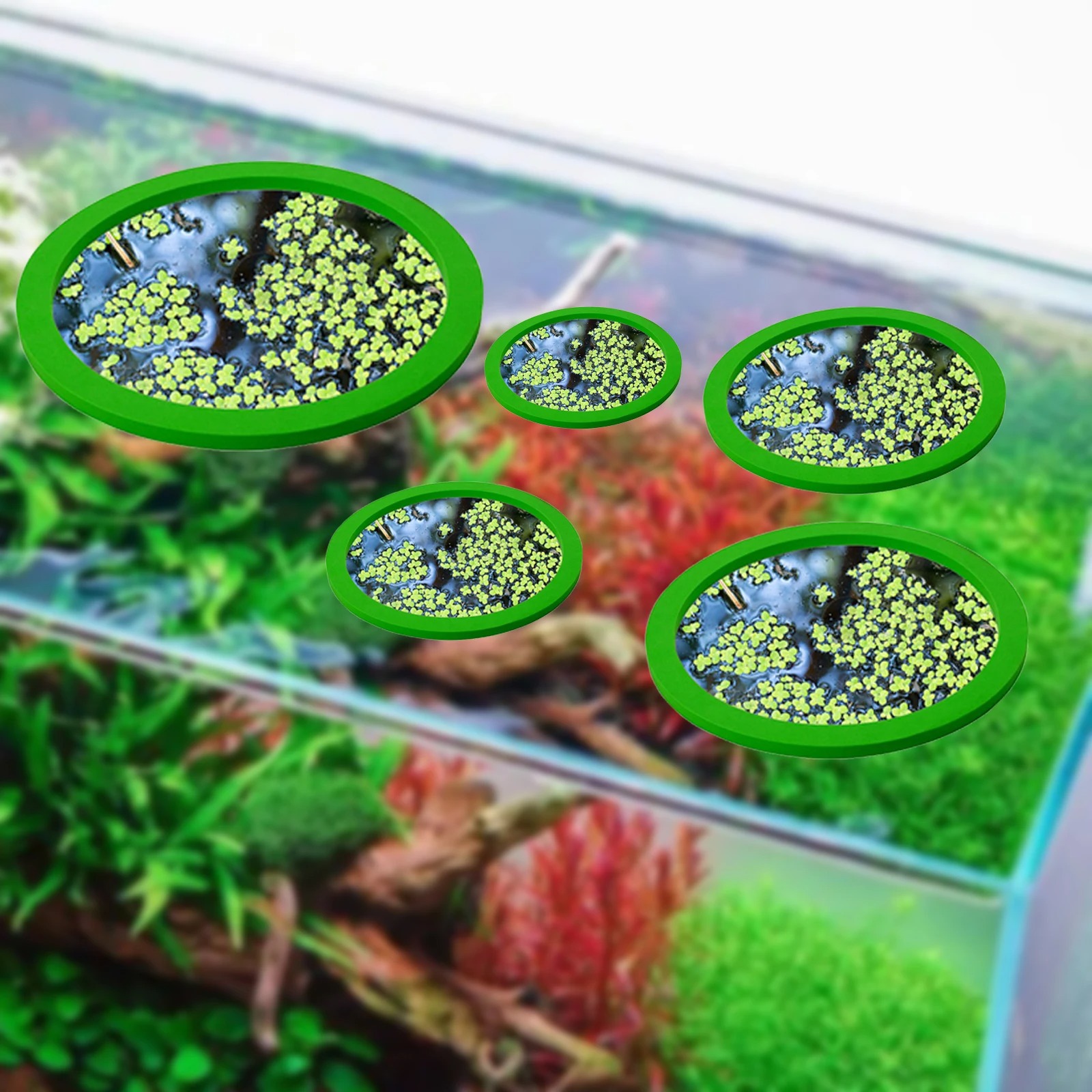 5Pcs EVA Pierścień do karmieni – Planted Aquarium Parameters recenzja i cena