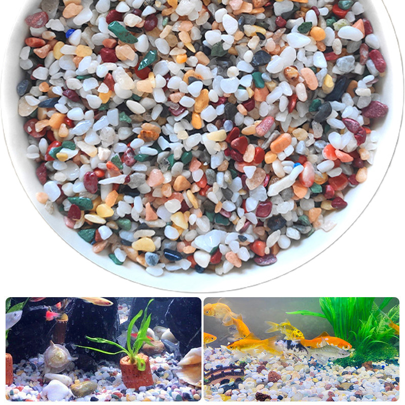 Naturalny żwir kamieniany 200~ – Planted Aquarium With Sand recenzja i cena
