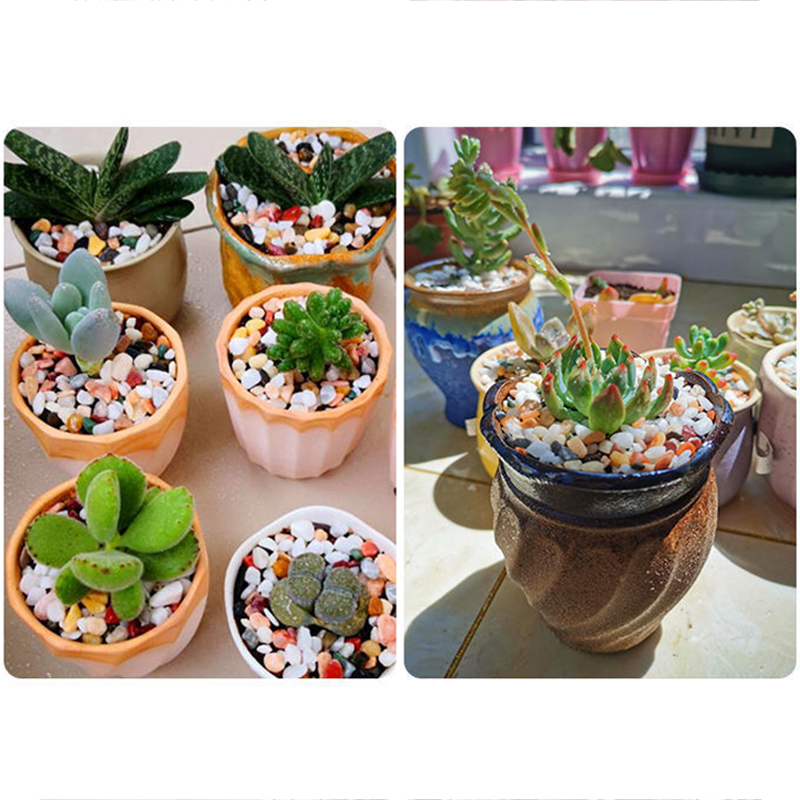 Naturalny żwir kamieniany 200~ – Planted Aquarium With Sand recenzja i cena