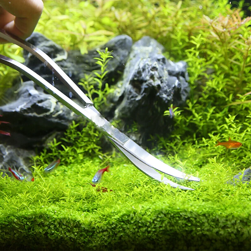 Nożyce do akwarium Pęseta do a – Planted Aquarium Accessories recenzja i cena