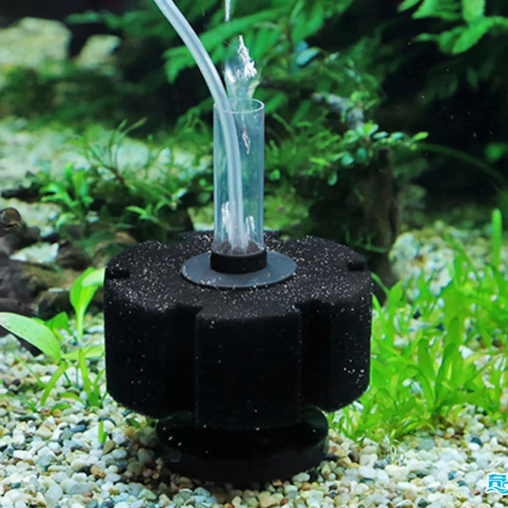 Gąbka filtracyjna do akwarium, – Aquarium Planted Filter recenzja i cena