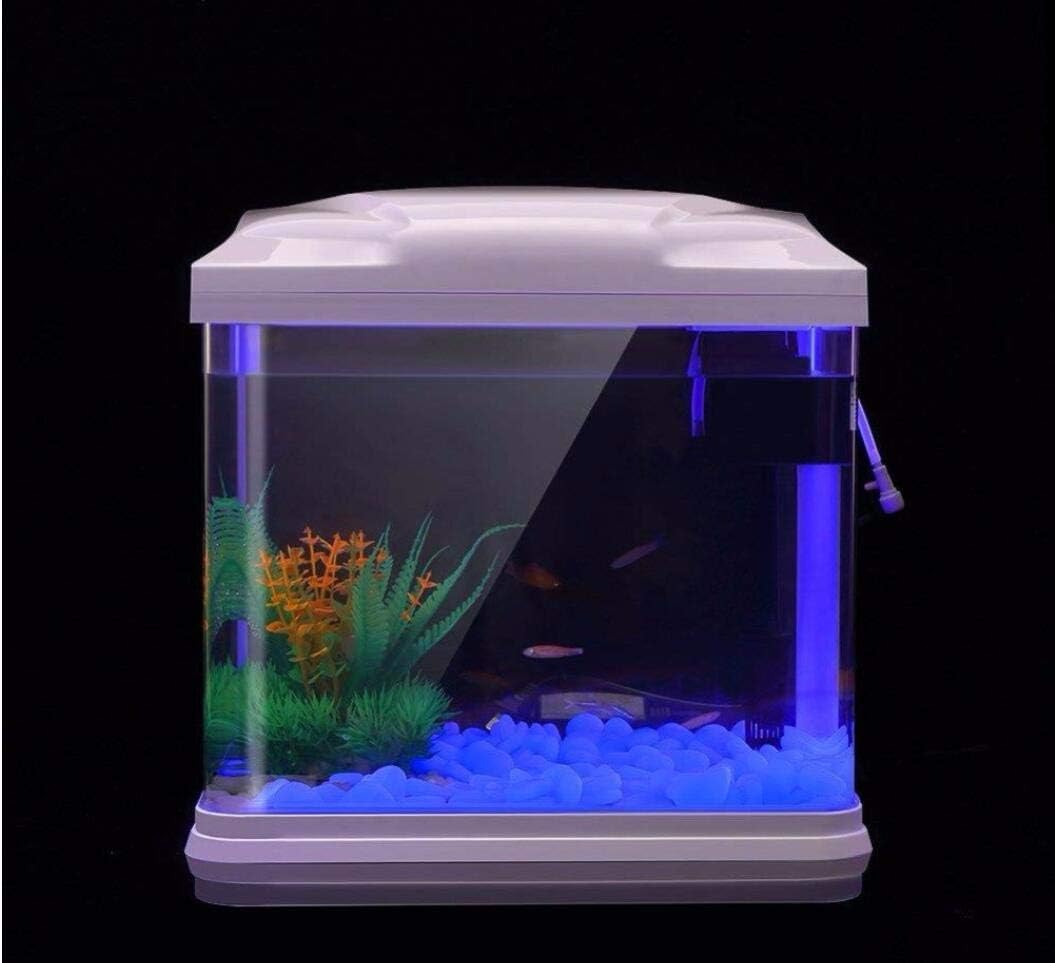 Fish Tank Rocks Glow Blue Pebb – Planted Aquarium Parameters recenzja i cena