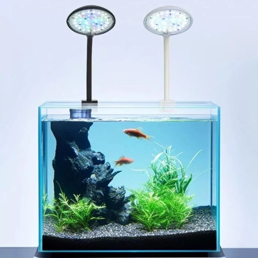 Nowy Mini akwarium lampa mocow – Planted Aquarium Mini recenzja i cena