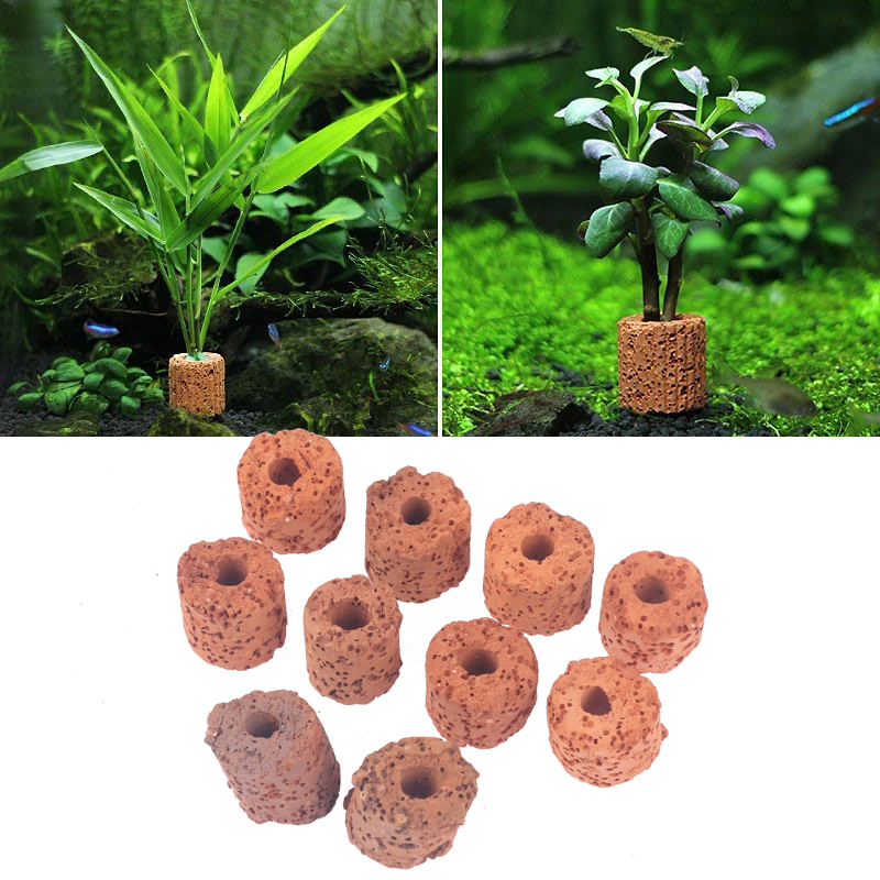 ^10 szt. Pierścieni do roślin  – Aquarium Planted Filter recenzja i cena