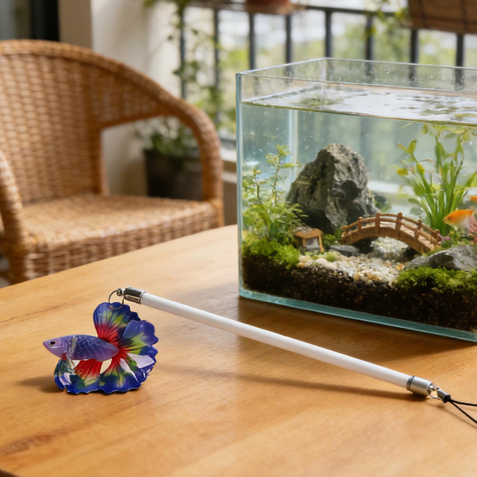 Wędka do treningu ryb Betta, i – Planted Aquarium For Betta recenzja i cena