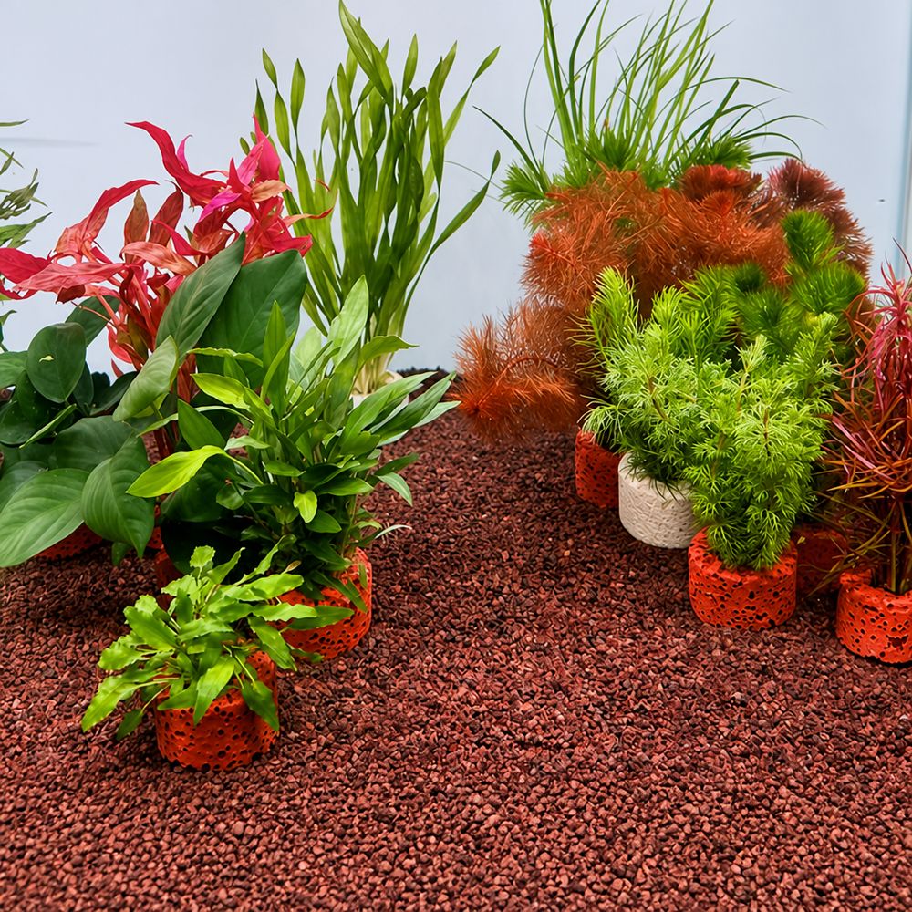 10 szt. Obciążone pierścienie  – Planted Aquarium Pictures recenzja i cena