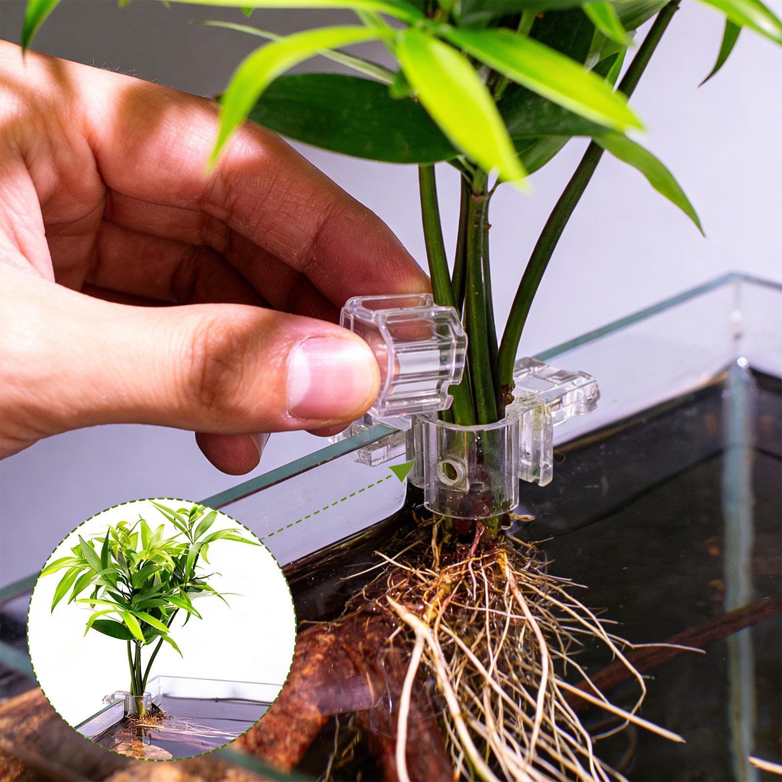 Mini doniczka do akwarium, 6 s – Planted Aquarium Mini recenzja i cena