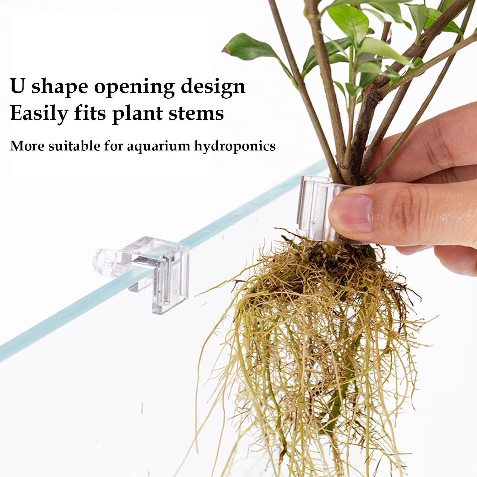 Mini doniczka do akwarium, 6 s – Planted Aquarium Mini recenzja i cena