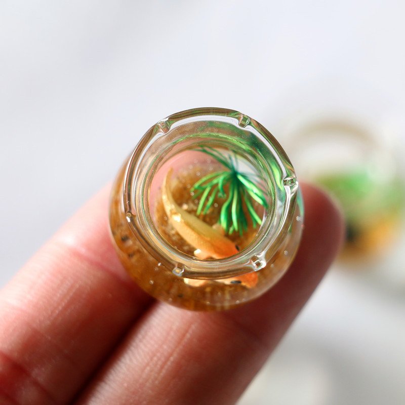 1Pc 1:12 Mini domek dla lalek  – Planted Aquarium Photos recenzja i cena