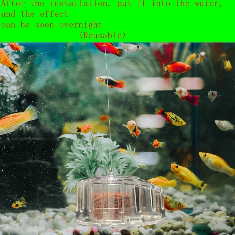 Roślina akwariowa pułapka na ś – Planted Aquarium Accessories recenzja i cena