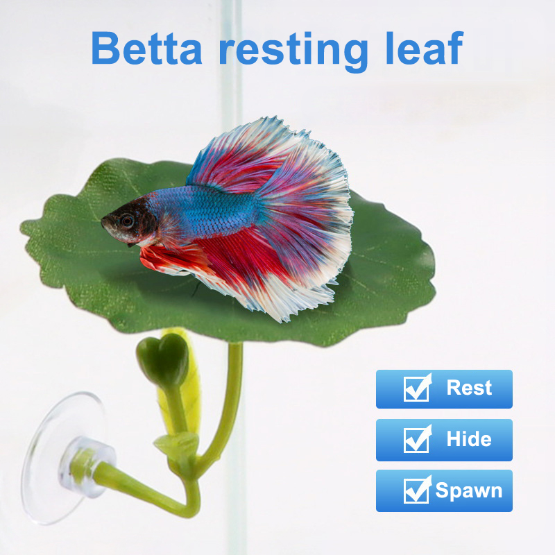 1 szt. Dekoracja do akwarium d – Planted Aquarium For Betta recenzja i cena