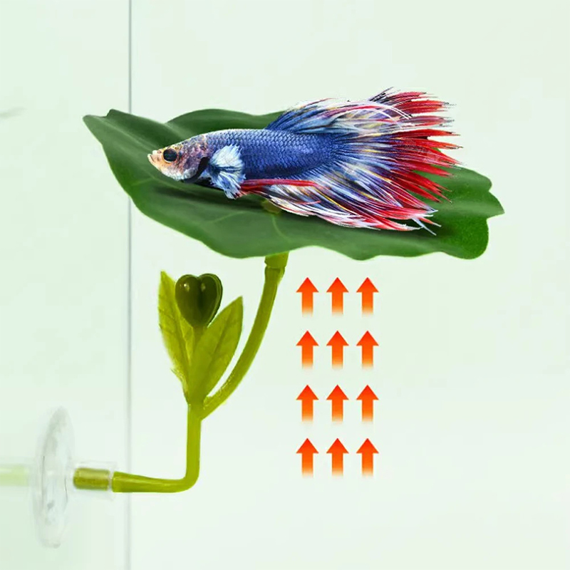 1 szt. Dekoracja do akwarium d – Planted Aquarium For Betta recenzja i cena