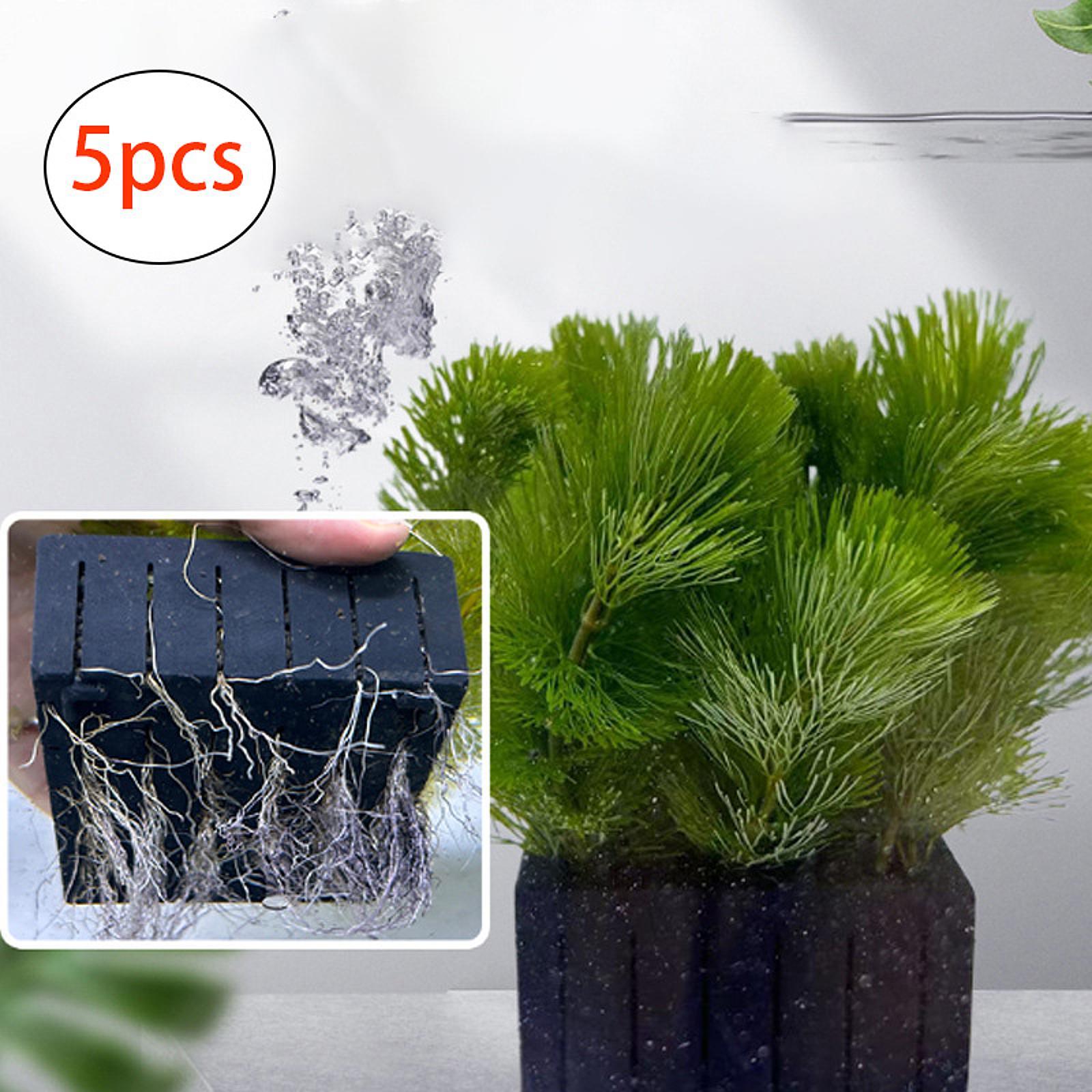 Kosz na rośliny akwariowe z tw – Planted Aquarium Mini recenzja i cena